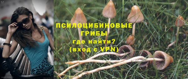 кокаин Бородино